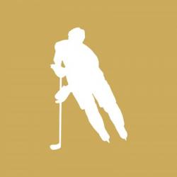 Hockey Player Silhouette - Part IV | Obraz na stenu