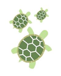 Three Turtles - Green | Obraz na stenu
