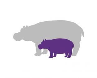 Silhouette Hippo and Calf Purple | Obraz na stenu