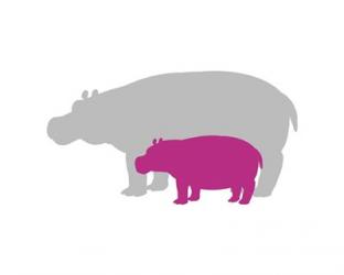 Silhouette Hippo and Calf Pink | Obraz na stenu
