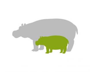 Silhouette Hippo and Calf Green | Obraz na stenu