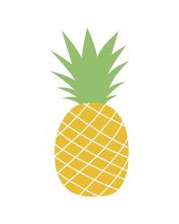 Pineapple | Obraz na stenu