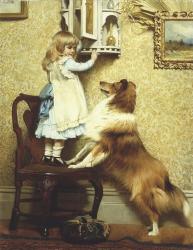 Little Girl and Her Sheltie | Obraz na stenu