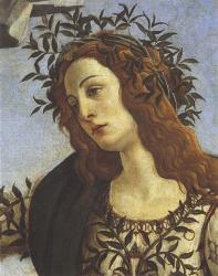 Figure of Minerva (detail) | Obraz na stenu