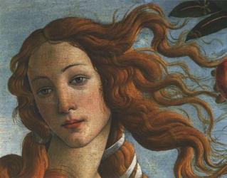 The Birth of Venus (Head of Venus), 1486 | Obraz na stenu