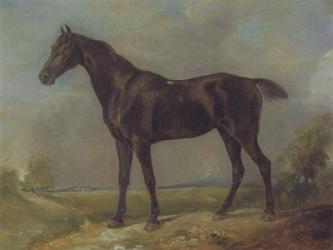 Golding Constable's Black Riding-Horse | Obraz na stenu