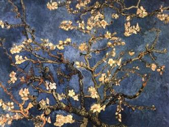 Blossoming Almond Tree, Saint-Remy, c.1890 | Obraz na stenu
