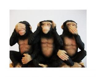 Monkeys - See No Evil, Hear No Evil, Speak No Evil | Obraz na stenu