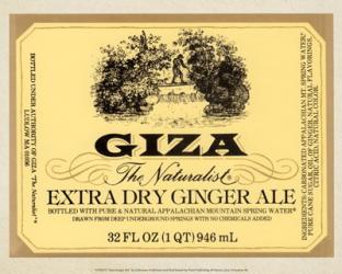 Giza Ginger Ale | Obraz na stenu