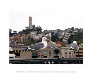 San Francisco Seen From the Bay | Obraz na stenu