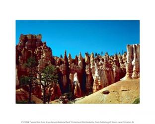 Scenic Shot from Bryce Canyon National Park | Obraz na stenu