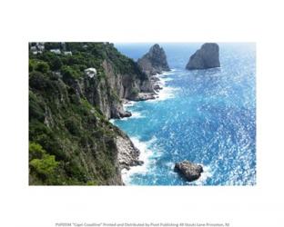 Capri Coastline | Obraz na stenu