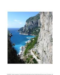 Capri Coastline | Obraz na stenu