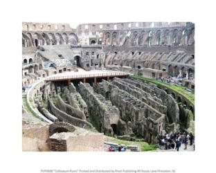 Coloseum Ruins | Obraz na stenu