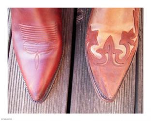 Cowboy Boot Tips | Obraz na stenu