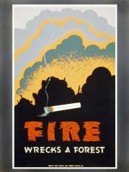 Fire Wrecks a Forest | Obraz na stenu