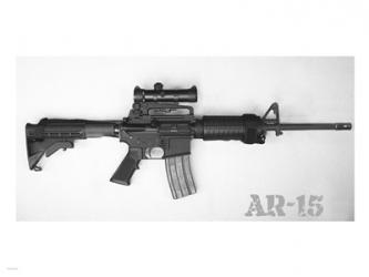 AR-15 | Obraz na stenu