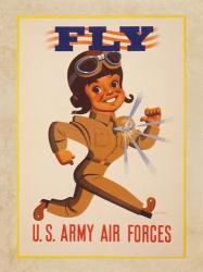 Fly U.S. Army Air Forces | Obraz na stenu