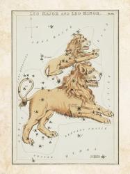 Leo Major and Leo Minor Constellation | Obraz na stenu