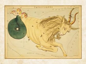 Capricornus Zodiac Sign | Obraz na stenu