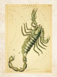 Scorpio Zodiac Sign | Obraz na stenu