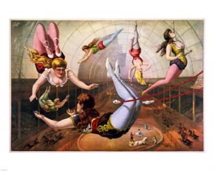 Trapeze Artists in Circus | Obraz na stenu
