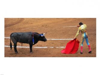 Bull and Matador Stand Off | Obraz na stenu
