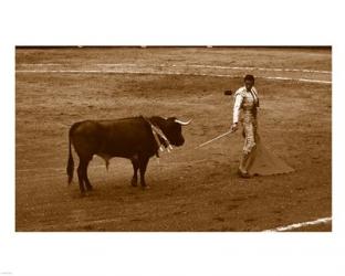 Matador and Bull | Obraz na stenu