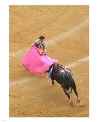 Matador Bullfight | Obraz na stenu