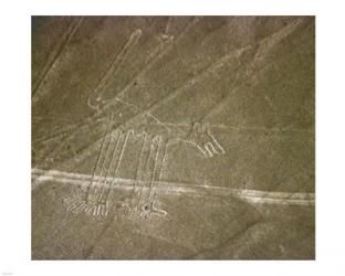 Nazca Lines | Obraz na stenu