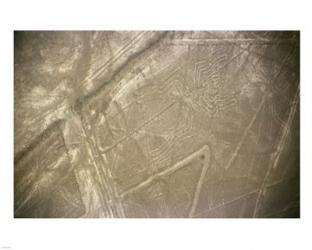 Nazca Lines | Obraz na stenu