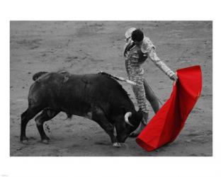 Red Matador II | Obraz na stenu