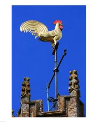 Church Tower Weathervane | Obraz na stenu