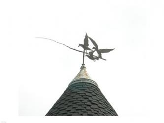 Seattle Sigma Kappa Mu Weathervane | Obraz na stenu