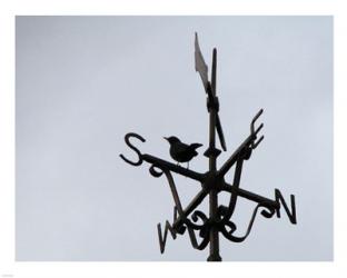Weathervane on the McKee Clock, Bangor | Obraz na stenu