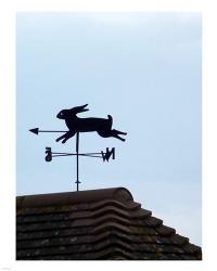 Rabbit Weathervane | Obraz na stenu