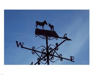 Donkey Lovers Weathervane | Obraz na stenu