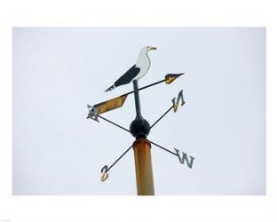 Seagull Weathervane | Obraz na stenu