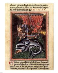 12th Century Painters - On Whales Folio from a Bestiary | Obraz na stenu