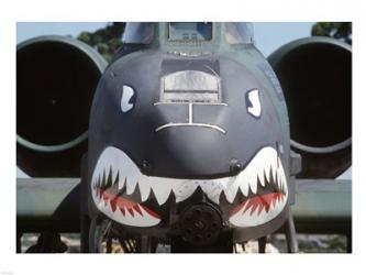 A-10 Thunderbolt II Shark Face | Obraz na stenu