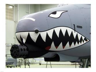 A-10 Shark | Obraz na stenu