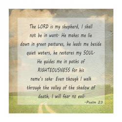 The Lord is my Shepherd | Obraz na stenu