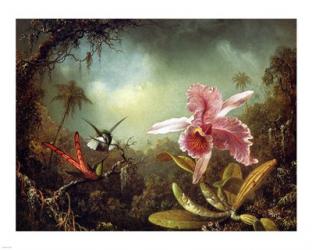 Orchid with Two Hummingbirds 1871 | Obraz na stenu