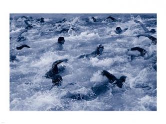 US Navy Swimming Race | Obraz na stenu