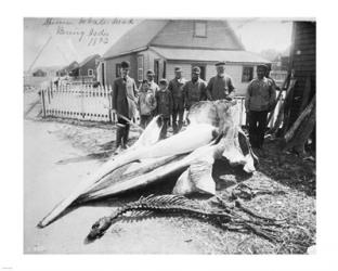 Sperm Whale Head | Obraz na stenu