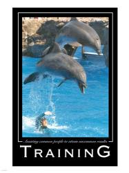 Training Affirmation Poster, USAF | Obraz na stenu