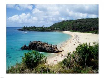 Waimea Bay | Obraz na stenu