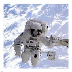 Michael Gernhardt in Space During STS-69 in 1995 | Obraz na stenu