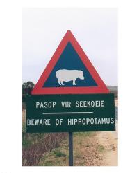 Beware of Hippopotamus | Obraz na stenu