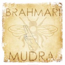 Brahmari Mudra (Humming Bee) | Obraz na stenu